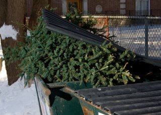 Le programme de recyclage des arbres de No&#235;l 2012 – 2013 f&#251;t un r&#233;el succ&#232;s