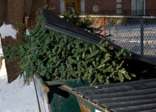 Le programme de recyclage des arbres de No&#235;l 2012 – 2013 f&#251;t un r&#233;el succ&#232;s