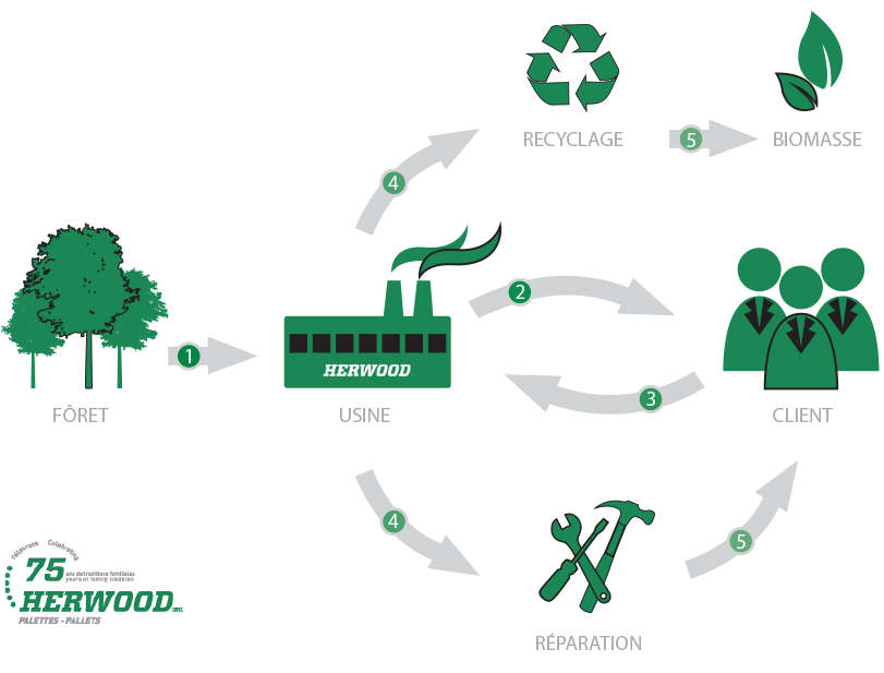 Herwood Wooden Pallet Life Cycle